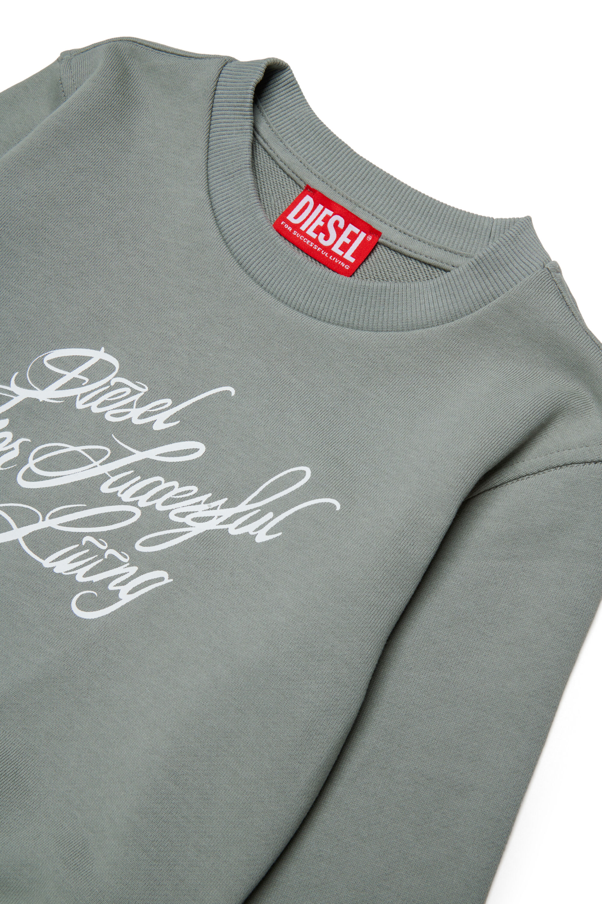 Diesel - SCRIPT, Woman's Cropped sweatshirt with script print in Grey - 3