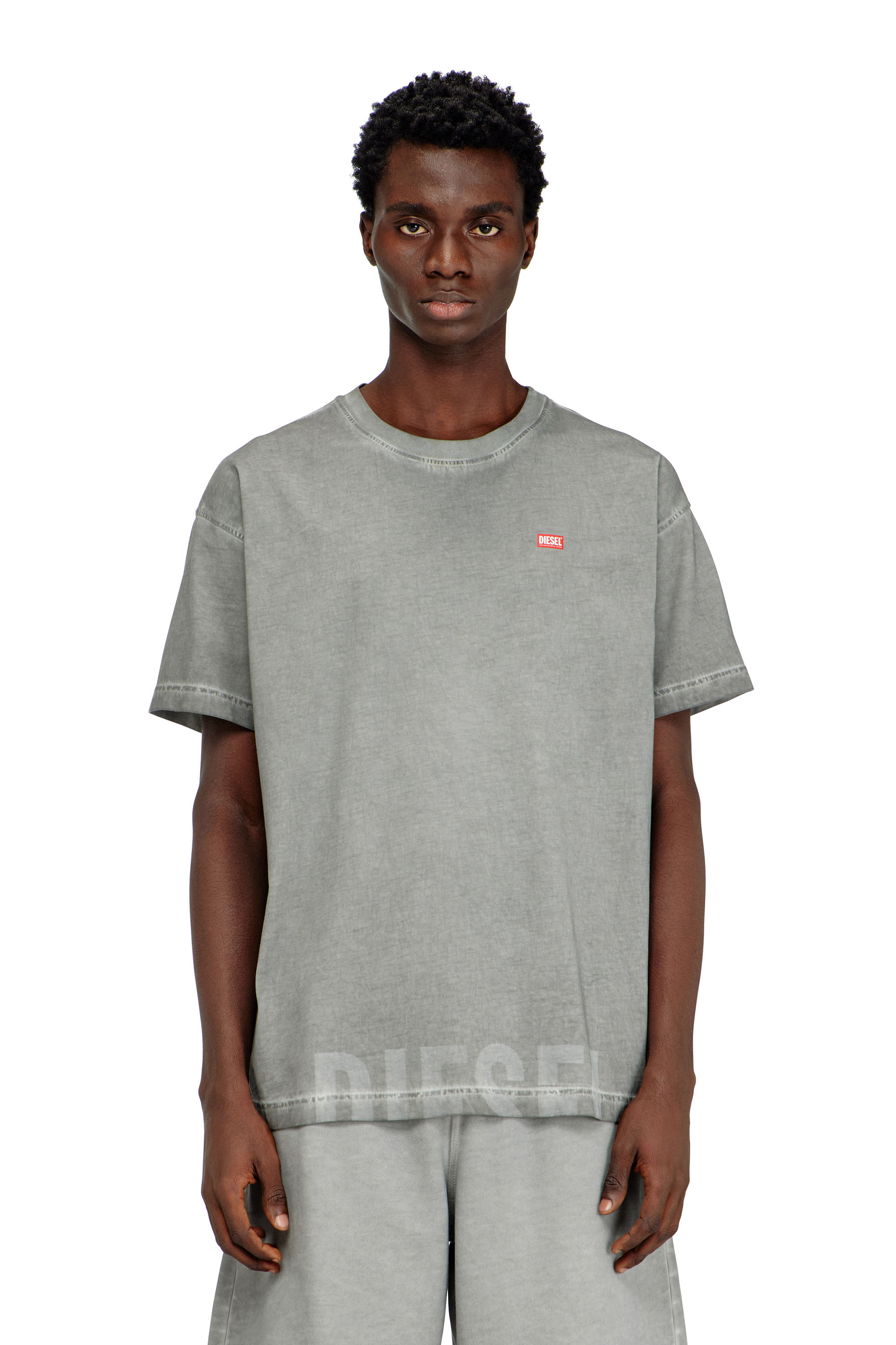 Diesel - T-NORM-T7, Man's Crew neck cotton t-shirt with print in Grey - 1