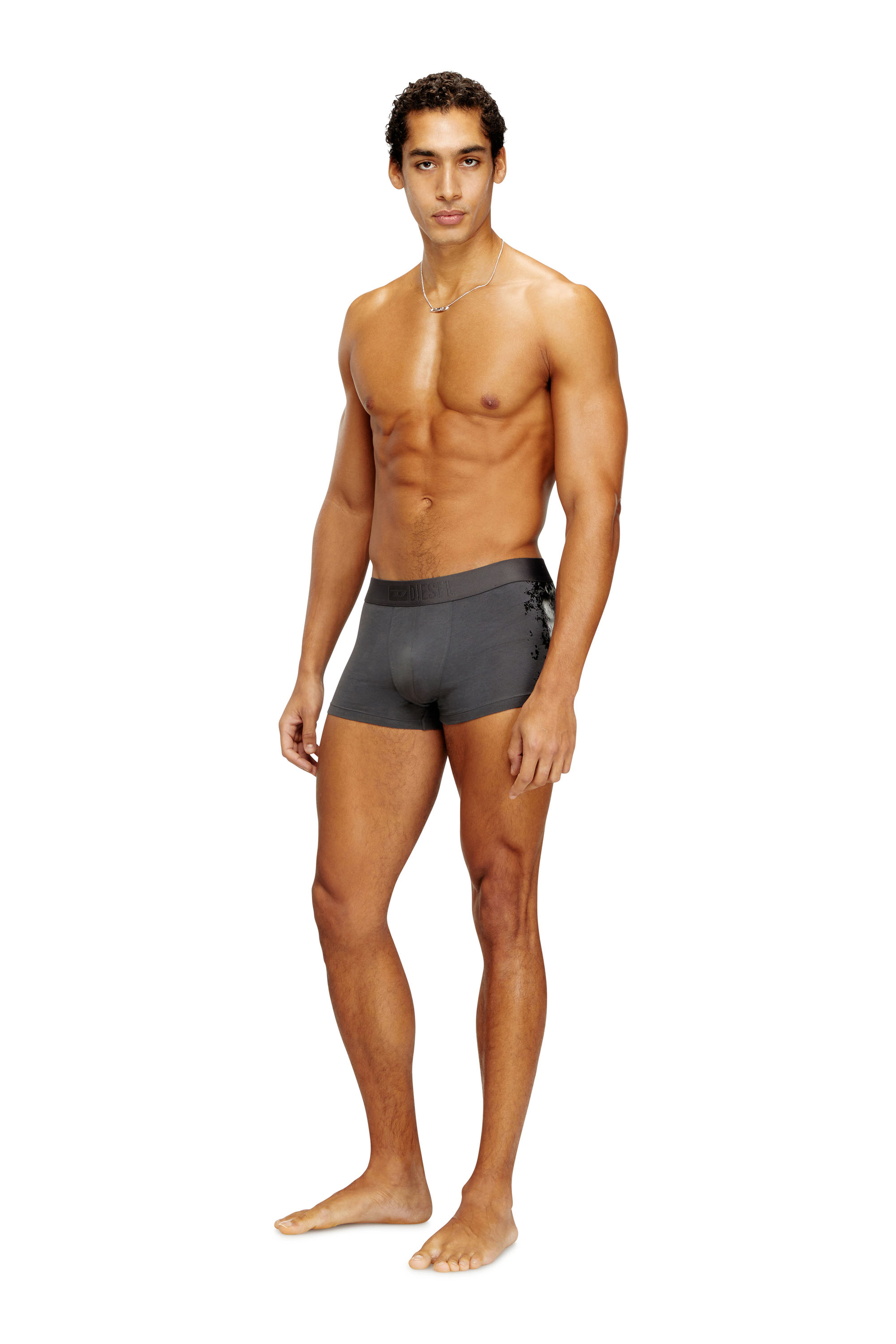 Diesel - DAMIEN-GFT, Man's Stretch-cotton boxers with tonal print in Grey - 1