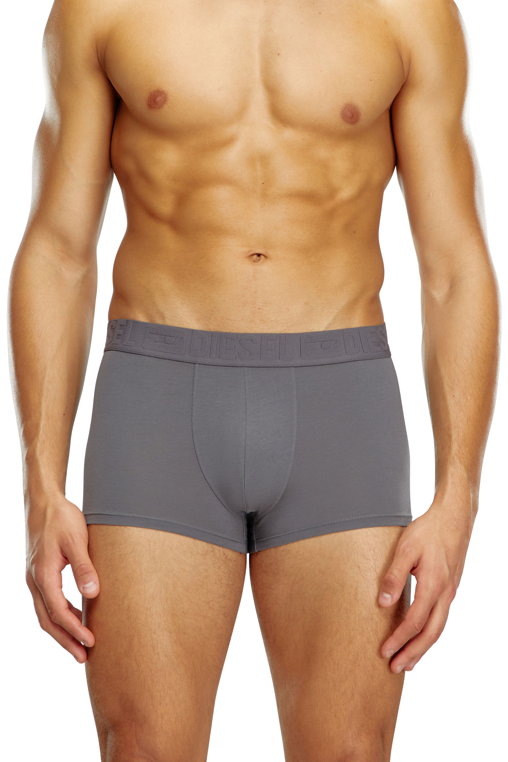 Diesel - UMBX-DAMIENTHREEPACK, Man's Three-pack monochrome boxer briefs in Grey/Blue - 2