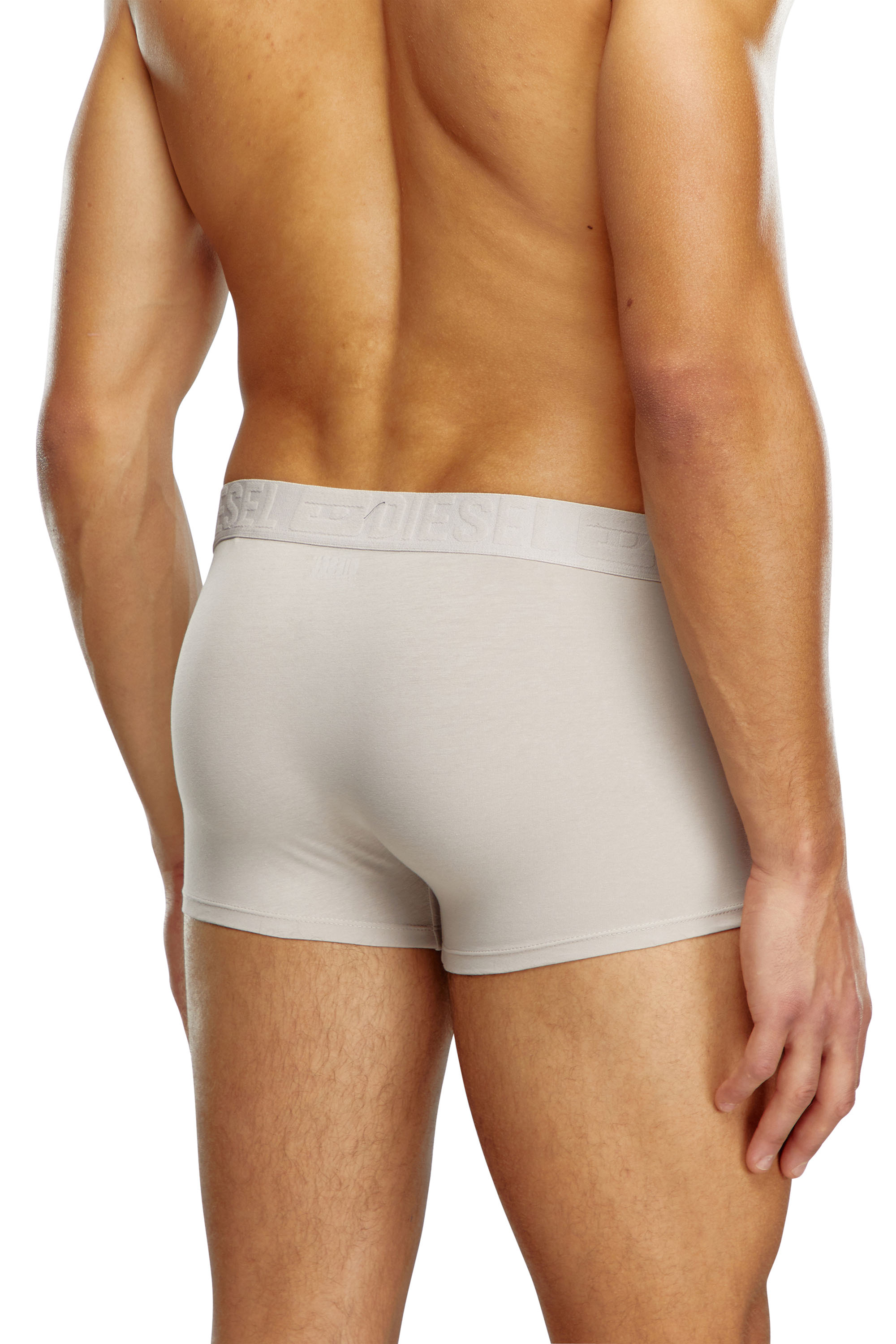 Diesel - UMBX-DAMIENTHREEPACK, Man's Three-pack monochrome boxer briefs in White/Grey - 3