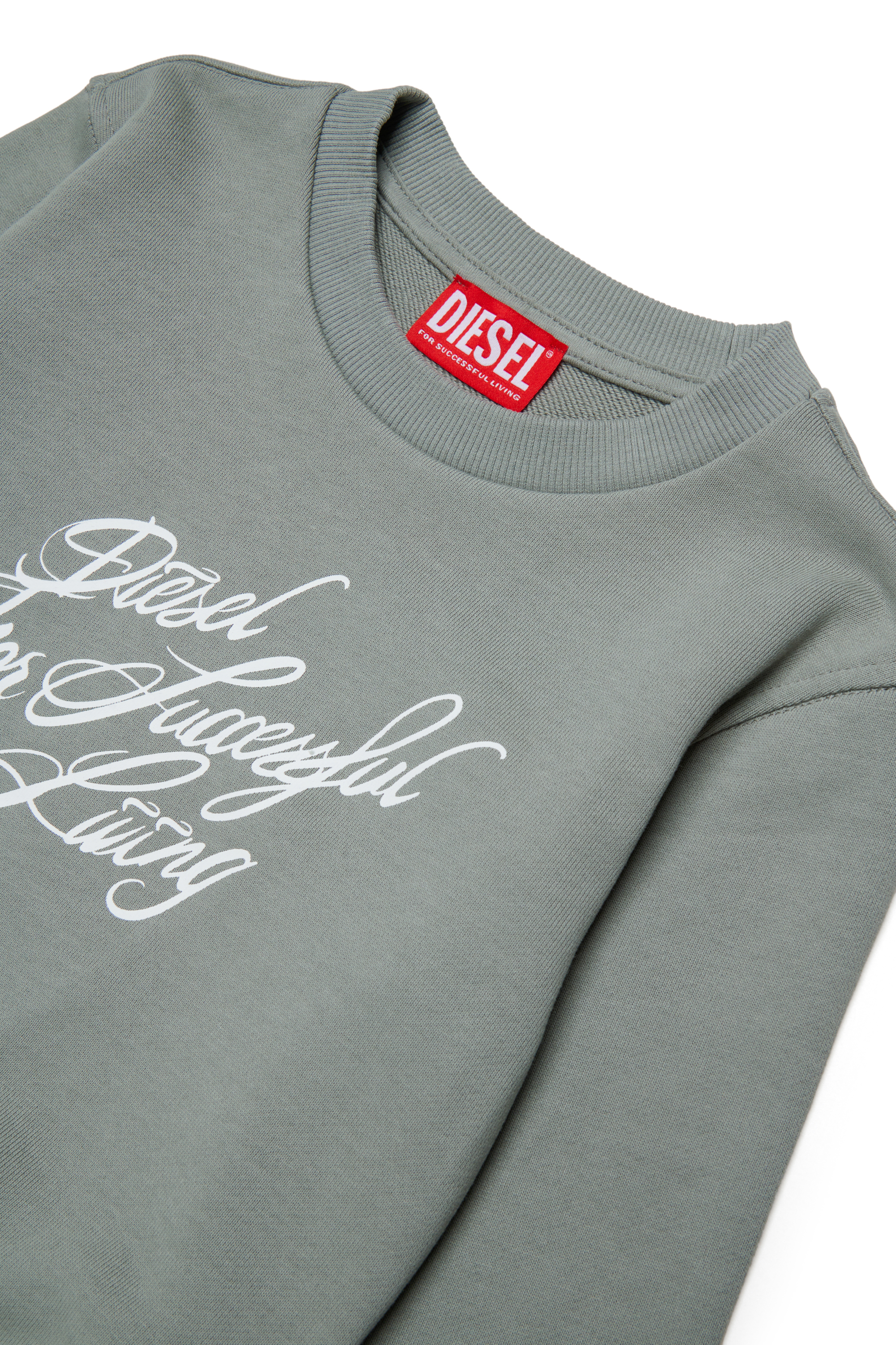 Diesel - SCRIPT, Woman's Cropped sweatshirt with script print in Grey - 3