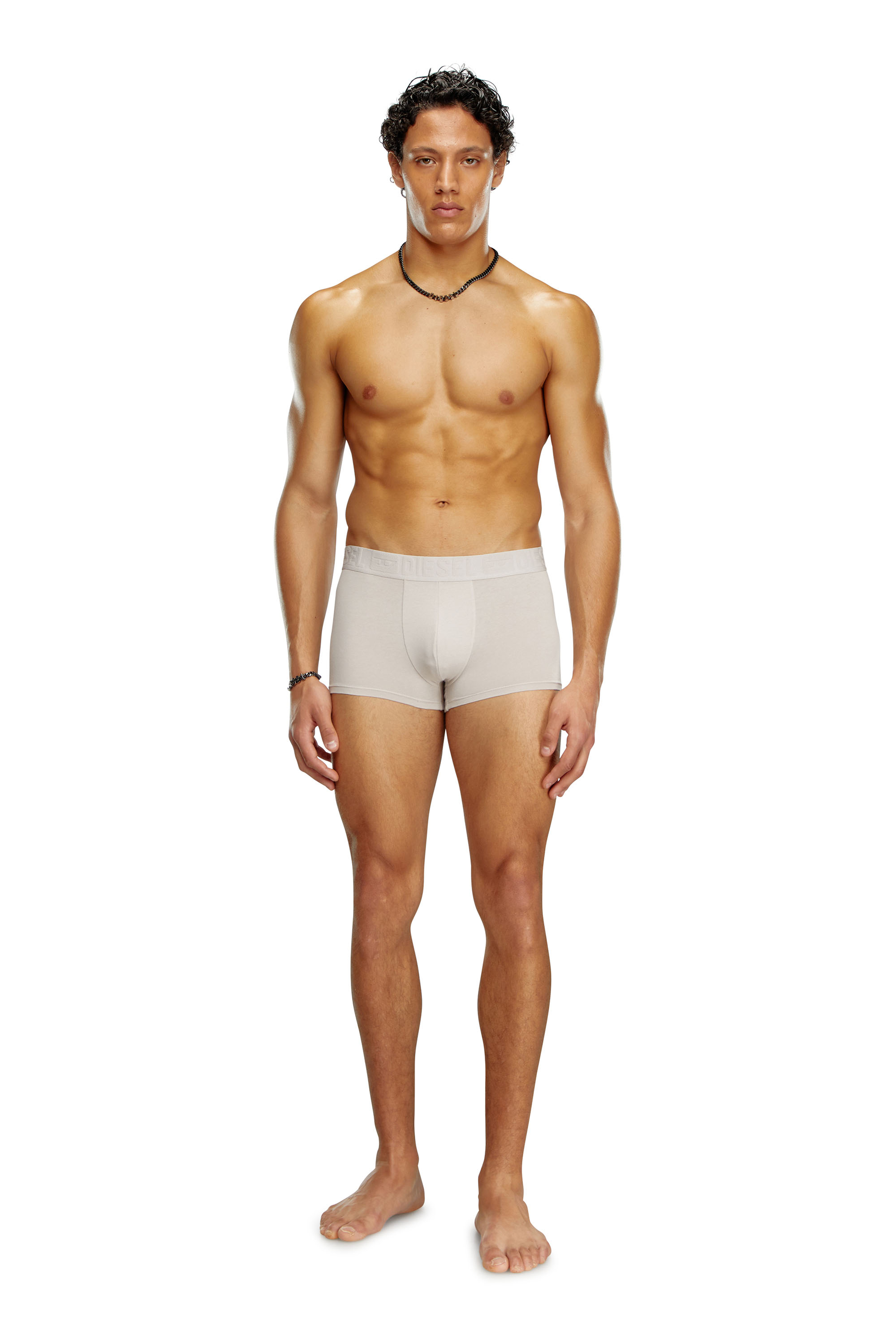 Diesel - UMBX-DAMIENTHREEPACK, Man's Three-pack monochrome boxer briefs in White/Grey - 4